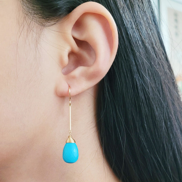 Turquoise Long Dangle Earrings